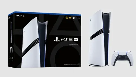 意大利戴维斯杯成功卫冕，辛纳助力再夺冠